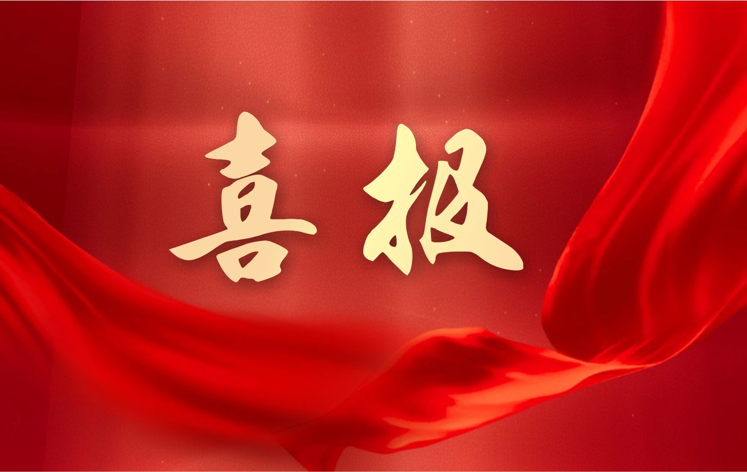 營收凈利雙增長！依頓電子2025年一季度經(jīng)營業(yè)績續(xù)寫高質(zhì)量發(fā)展華章